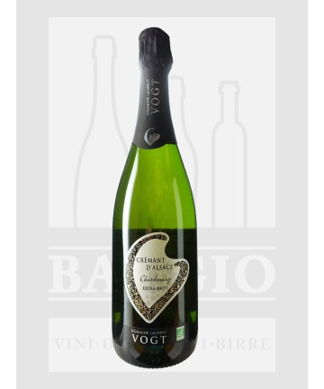 0750 VOGT DOMAINE LAURENT...