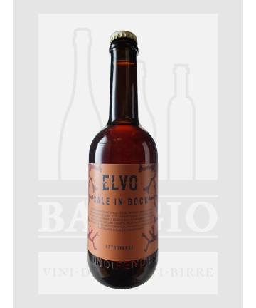 0500 BIRRA ELVO SALE IN...