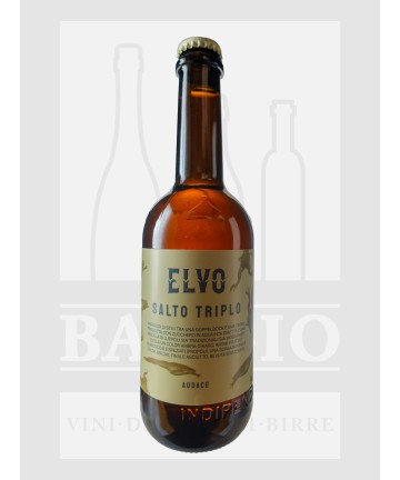 0500 BIRRA ELVO SALTO...