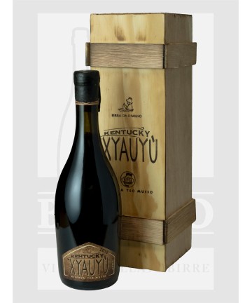 0500 BIRRA BALADIN XYAUYU...