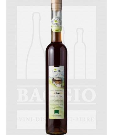 0500 ALFONS WALCHER...