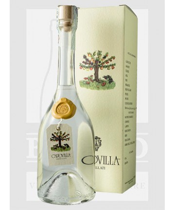 0500 CAPOVILLA DISTILLATO...